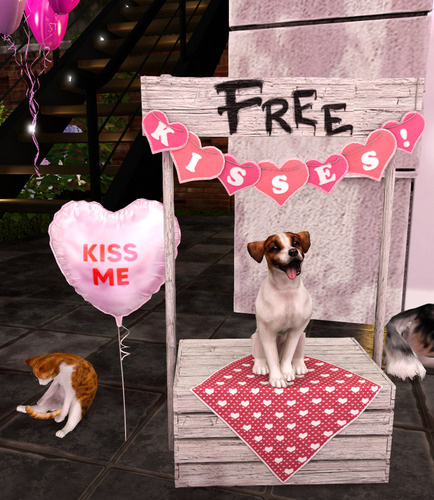 Web 65ca0374e653e65523892c2a