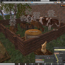 Thumb 63fc25dfc3f4360f5392d406