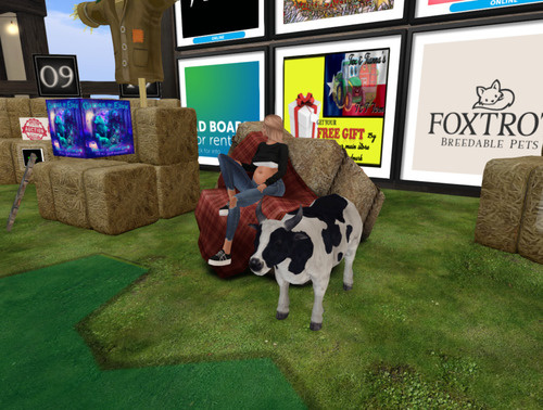 Web 6411d8a33d8d3c07c9dca015