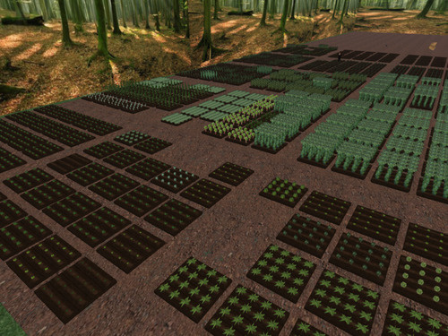 Web 641228afef94cc6609cb81b8