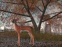 Small 5f5cf719d774f85c360fa929