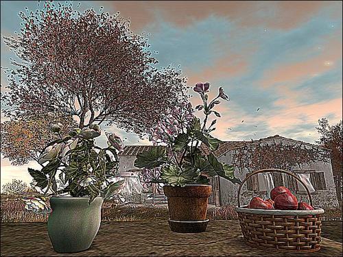 Web 5f5cf0f1289dd25e997c0743