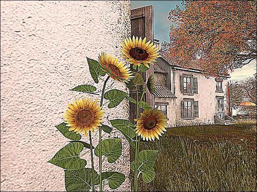 Web 5f5cf66cd774f8569f34e481