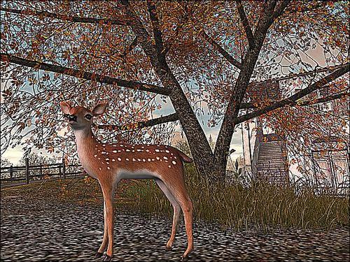 Web 5f5cf719d774f85c360fa929