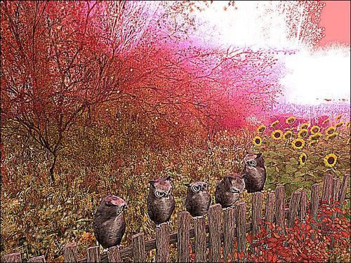 Web 5faddf04e30bef6893281aa8