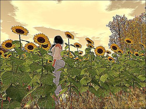 Web 5faddfe11fff266e88b8de1a