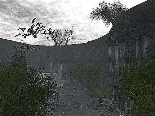 Web 5ff79958331f5070575d6d8e