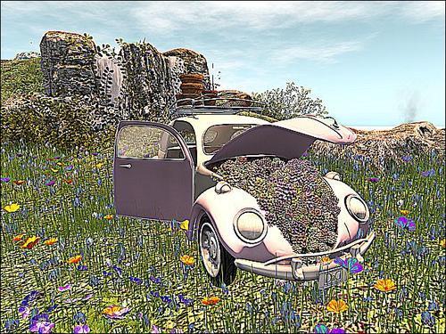 Web 603a8b79b8dd6f5503206df1