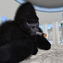 Thumb 50b257d626f0e42dd6000001