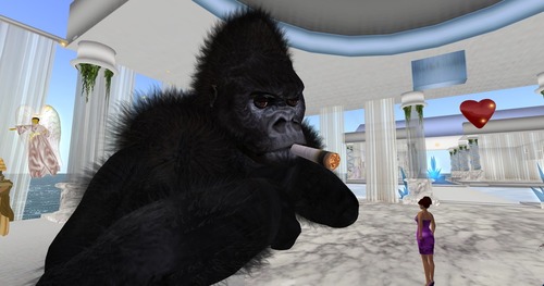 Web 50b257d626f0e42dd6000001