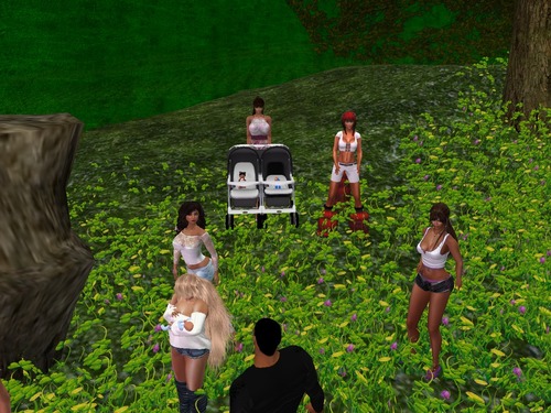 Web 56db11cdb713f7065e000001