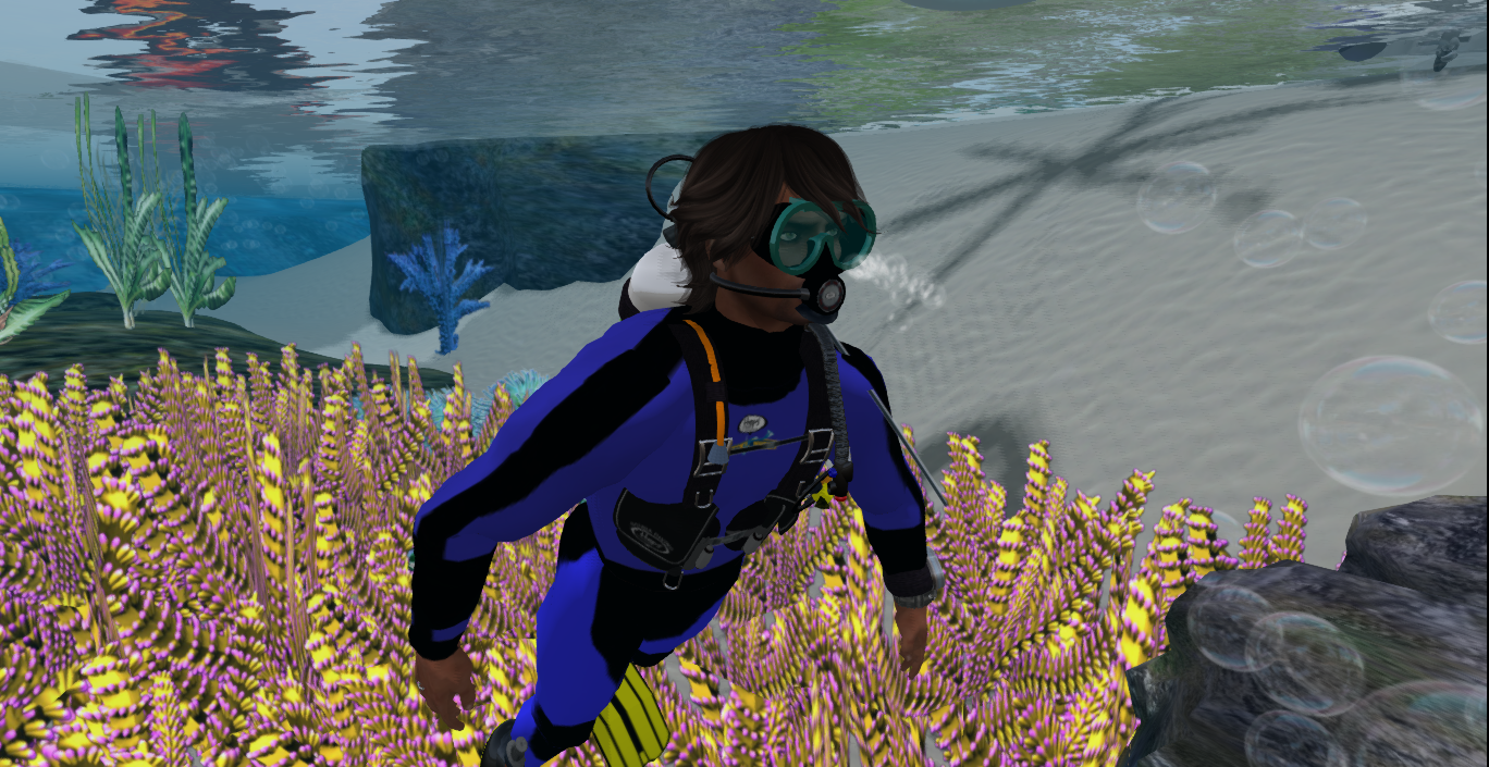 Original 53d660bc128cc959d0000001