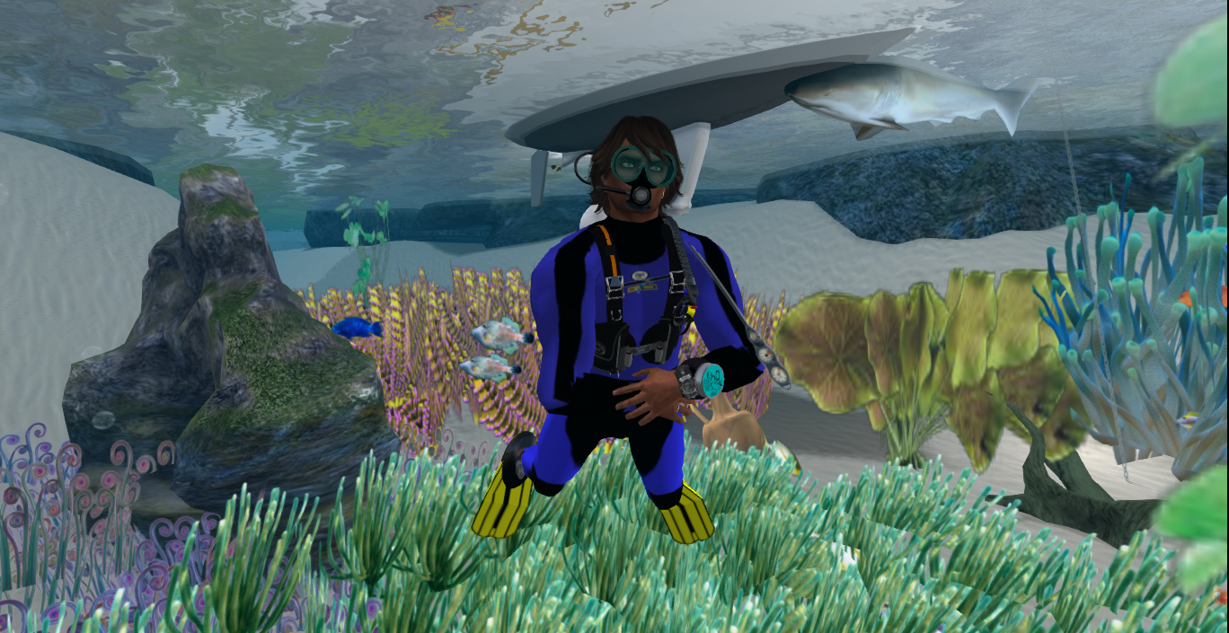 Original 53d66478a73e21275f000001