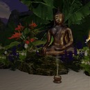 Thumb 53d14c52128cc9694d000001