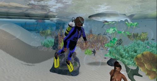 Web 53d275f08da57221ec000001