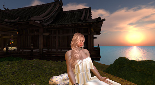 Web 677245247dc6a245b745a22a