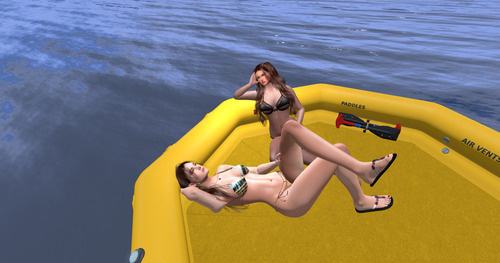 Web 677a83641b25f03d63d0c0a5