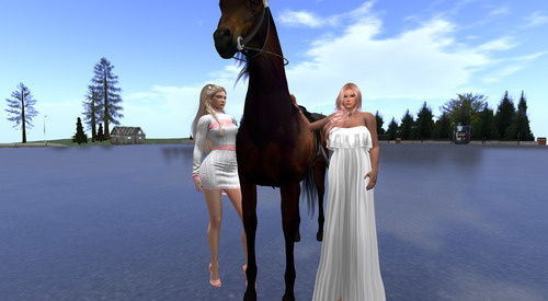 Web 6787172b630f0724bf59cc7c