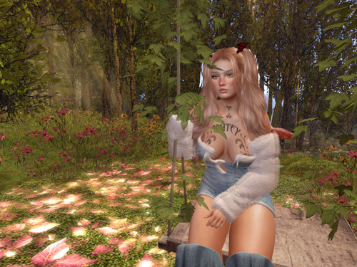 Web 67cfa6f06a4ea508915fc270