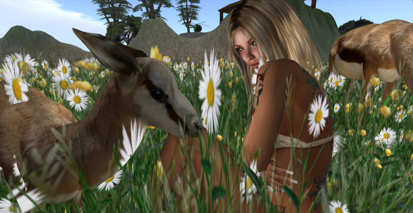 Original 52912cf4f1bdb93dbc000001