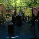 Thumb 5283ea5c1cb86e0e51000001