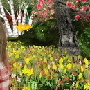 Thumb 528a5f339dc29d6cbc000001