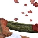 Thumb 528a81ea6842982ba1000001