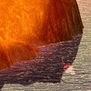 Thumb 540f4497128cc91f06000001