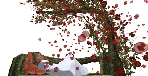 Web 528a84d202e8f50810000001