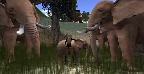 Web 529129b07c8f856046000001