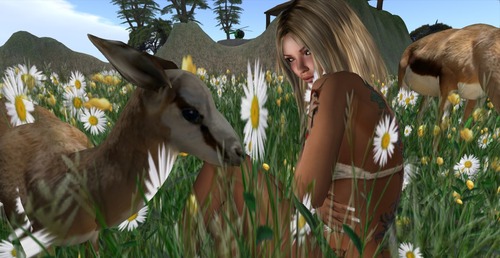 Web 52912cf4f1bdb93dbc000001