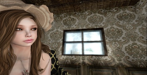 Web 53dbfb26f8a1ec7f67000001