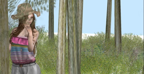 Web 53dbfc91128cc91830000001