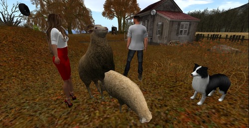 Web 5425dabe128cc94cb1000001