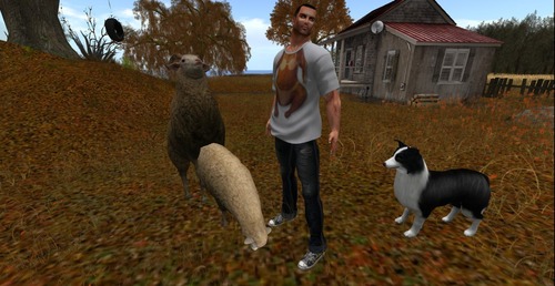 Web 5425e136a73e214408000001