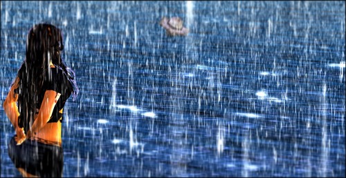 Web 5429aa028da57225b0000001