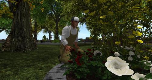 Web 60c7bb75242f9f7091755e4c