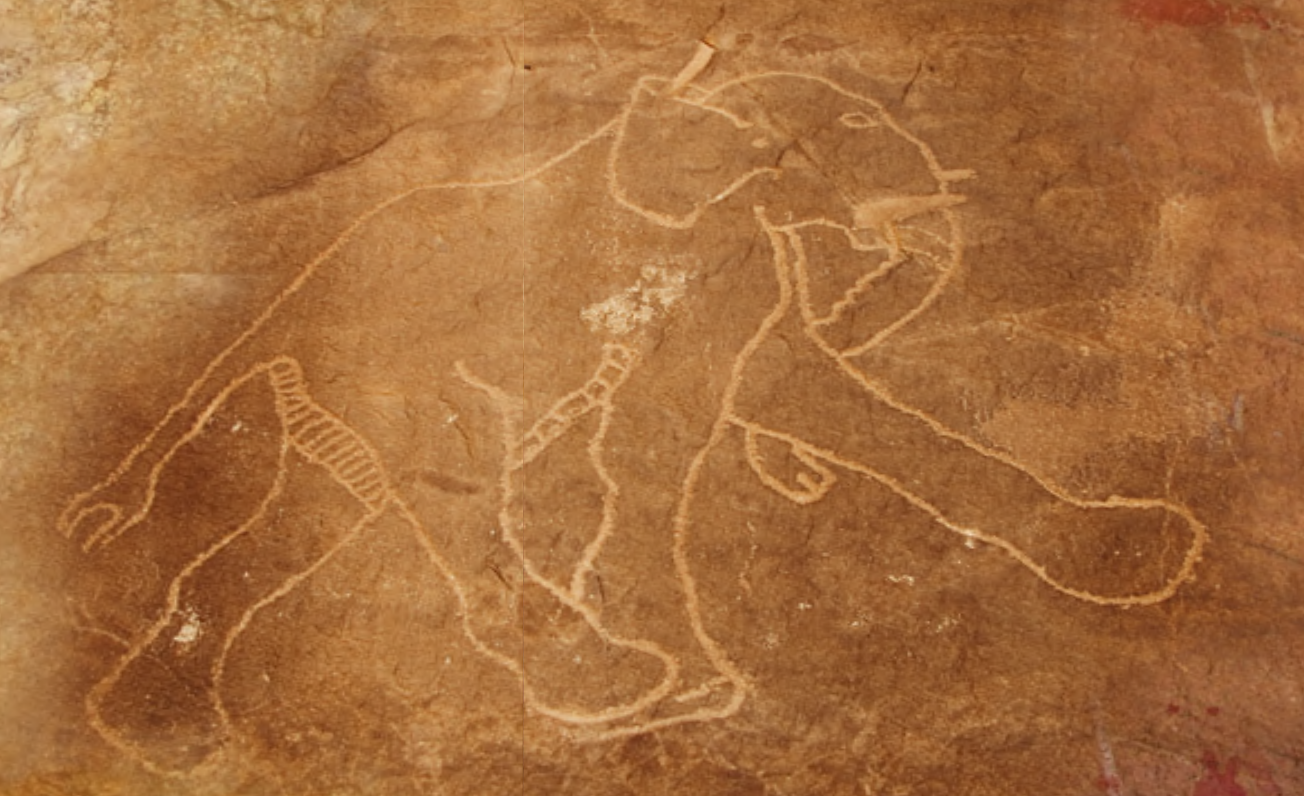 Original 57d0ae42b713f711fc000001