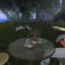 Thumb 5ea4ea8273ed177afbfdbcb2