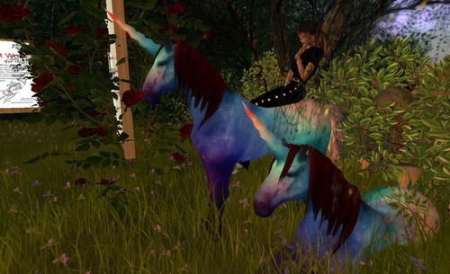 Web 578af58bb015400195000001