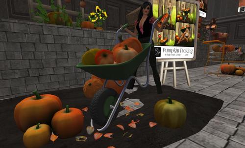 Web 5da27a9b289dd23d02000001