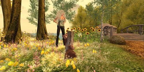 Web 5f08dcd0d774f869fbe4130c