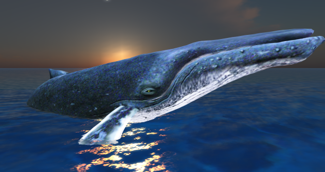 Original 620c4041b085a45c0eed4a29