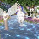 Thumb 60739234a907ee6ea1f6ac83