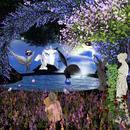 Thumb 60739d77a686967e5b6c3490