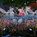 Thumb 6073c5bde0fbc43e6f9a2815