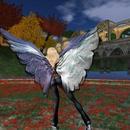 Thumb 6075b16581843514cb713b7d