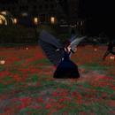 Thumb 60a35324c90bb5646effe2df