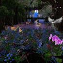 Thumb 60cdd02c1f3f0a30abd70e93