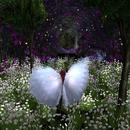 Thumb 60cdd1513b84a20571468ff8